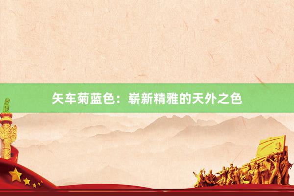矢车菊蓝色：崭新精雅的天外之色