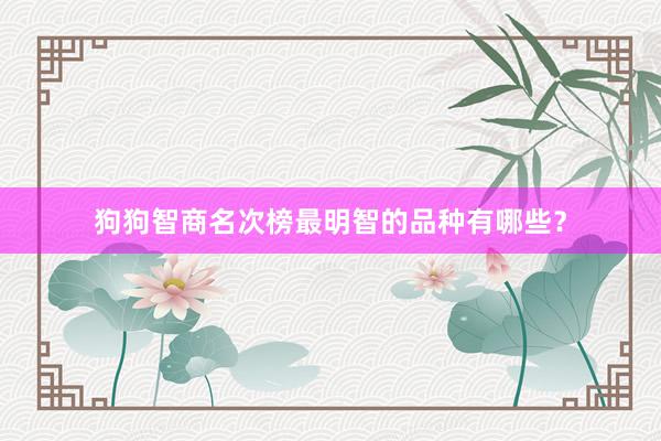 狗狗智商名次榜最明智的品种有哪些？
