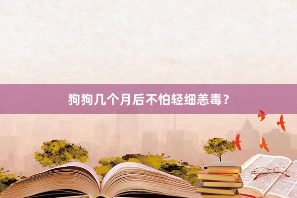 狗狗几个月后不怕轻细恙毒？