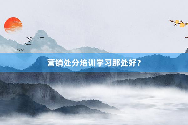 营销处分培训学习那处好？